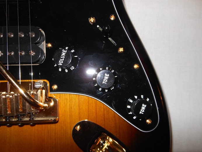 Mod Shop Stratocaster Picture 15